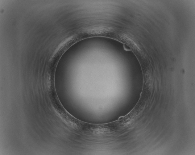 X0000073720400200608171208