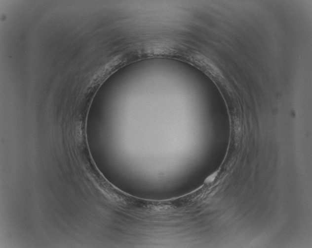 X0000073720401200608171208