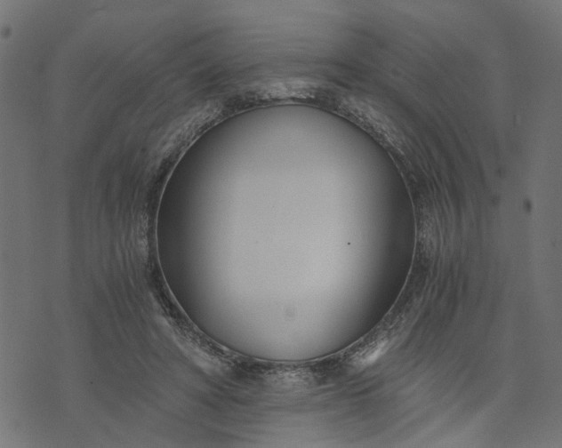 X0000073720402200608171208