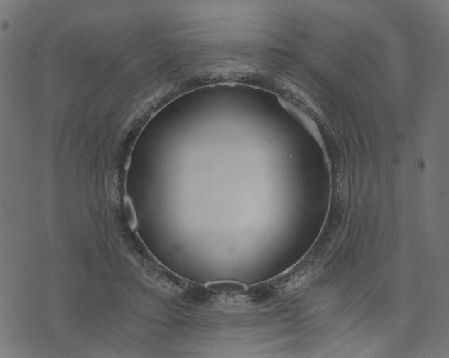 X0000073720403200608171208