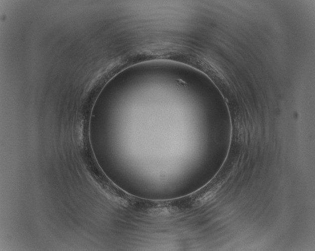 X0000073720404200608171208