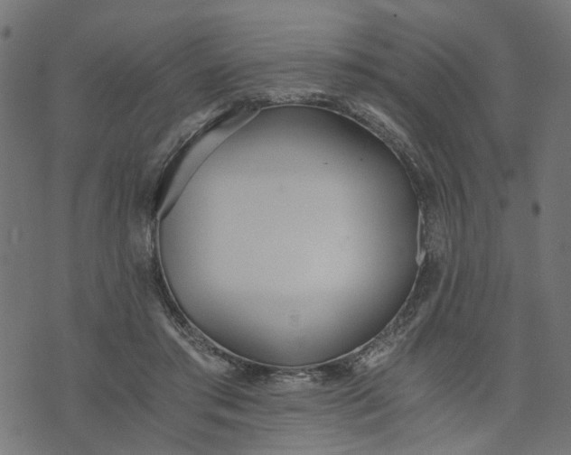 X0000073720405200608171208