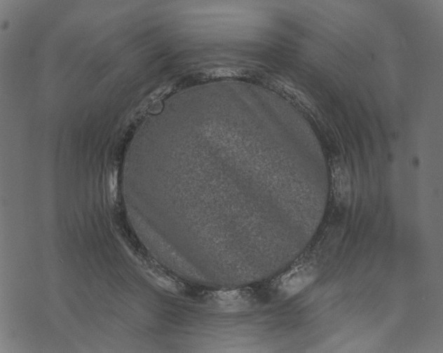 X0000073720406200608171208