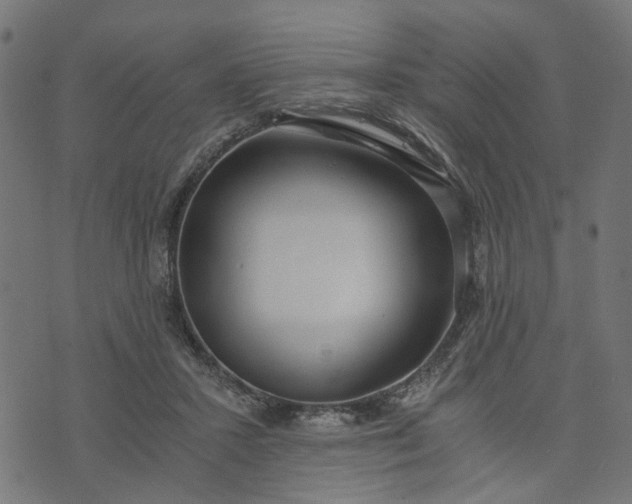 X0000073720407200608171208