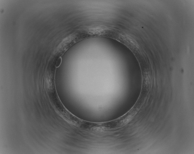 X0000073720408200608171208