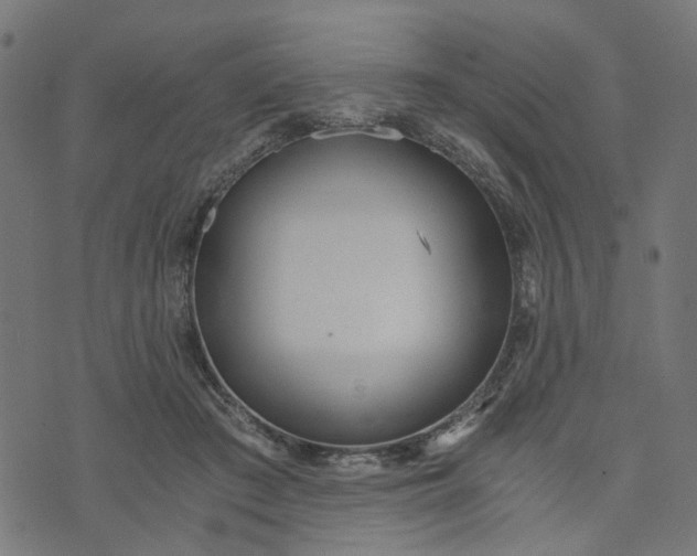 X0000073720409200608171208