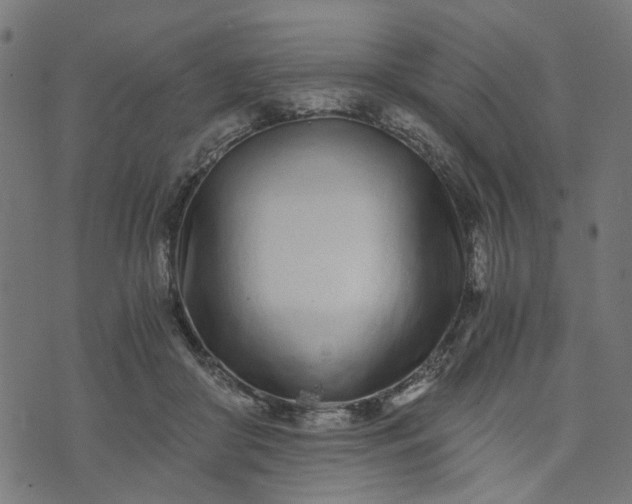 X0000073720410200608171208