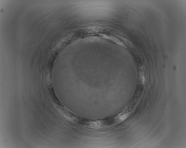 X0000073720411200608171208