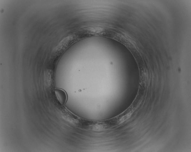 X0000073720412200608171208