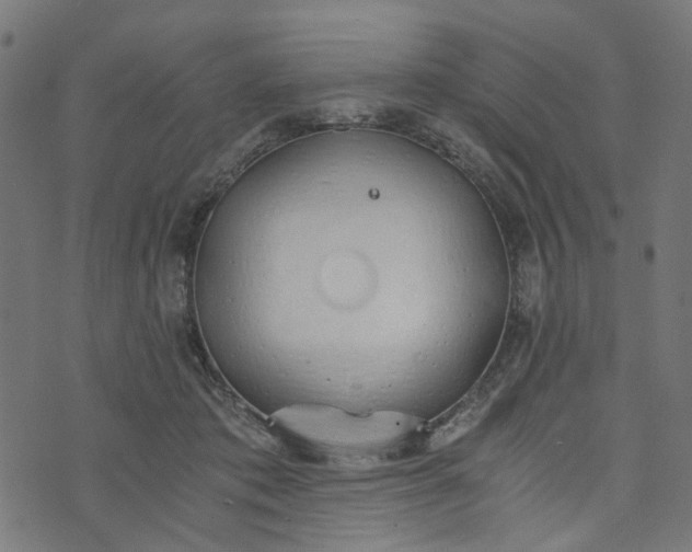 X0000073720413200608171208