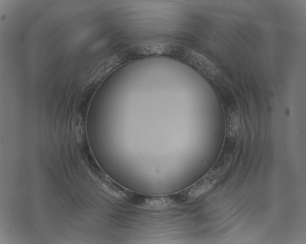 X0000073720414200608171208