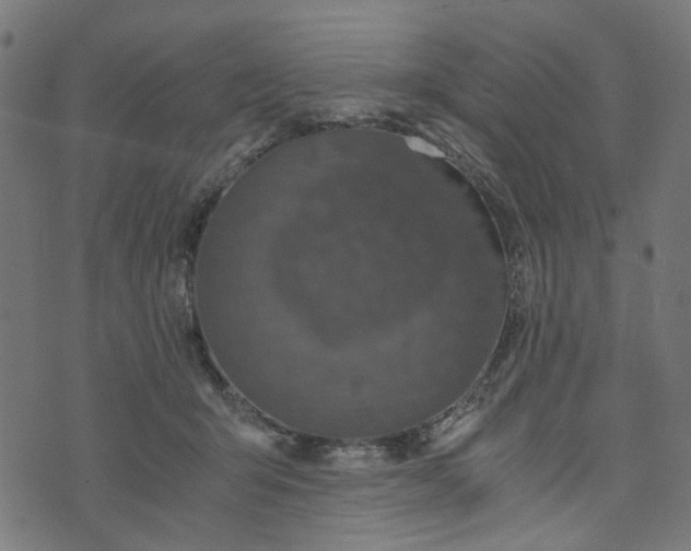 X0000073720415200608171208