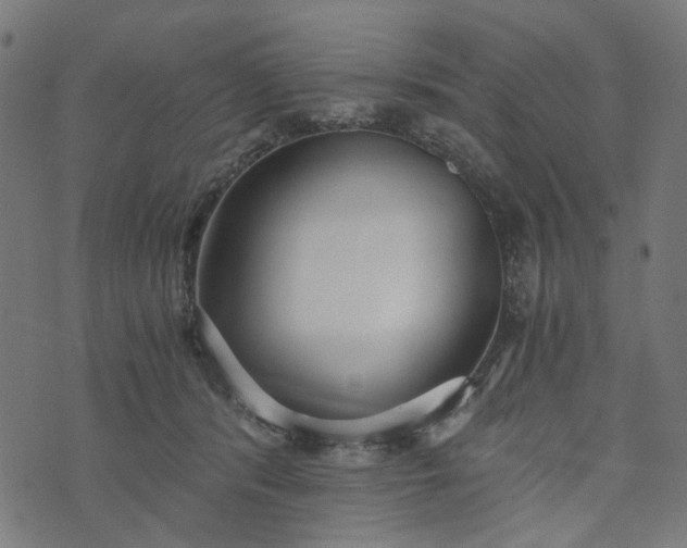 X0000073720416200608171208