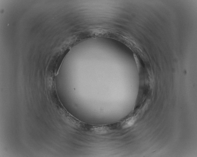 X0000073720417200608171208