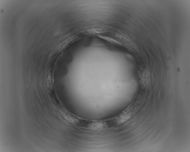 X0000073720418200608171208