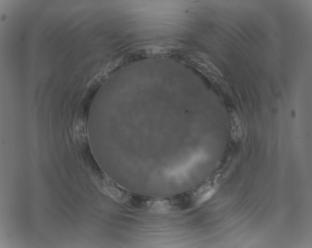 X0000073720419200608171208