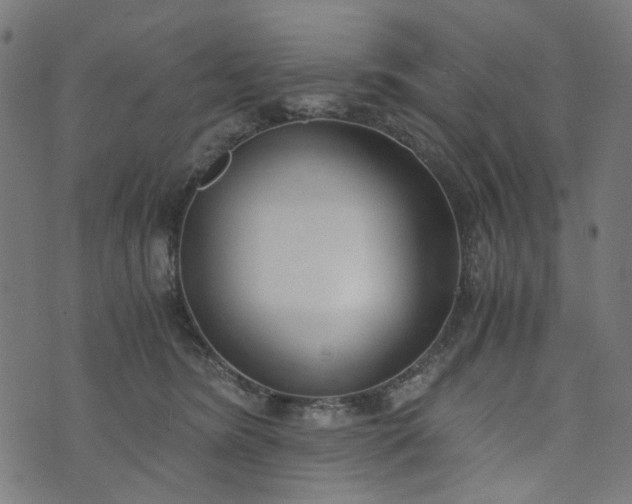 X0000073720420200608171208