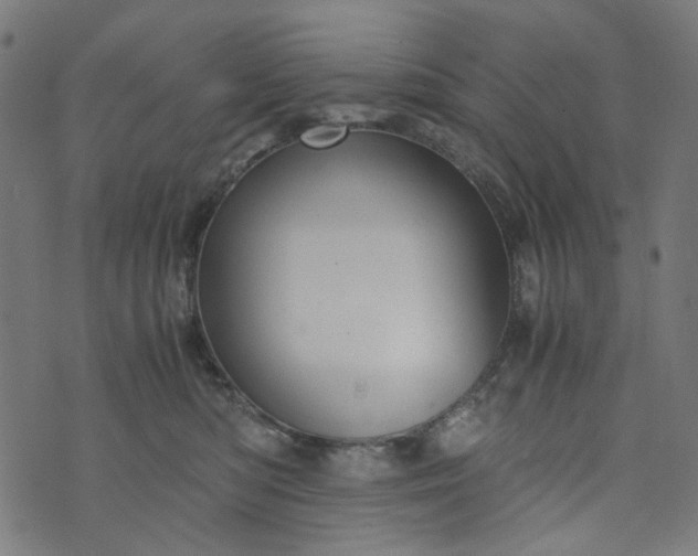 X0000073720422200608171208