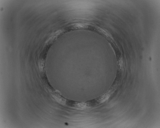 X0000073720423200608171208