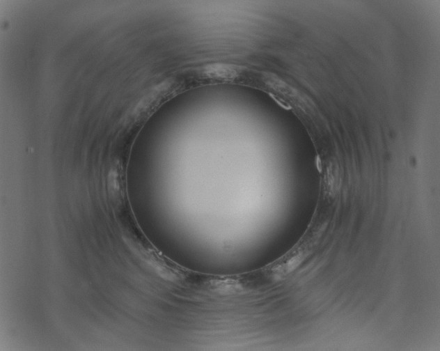 X0000073720424200608171208