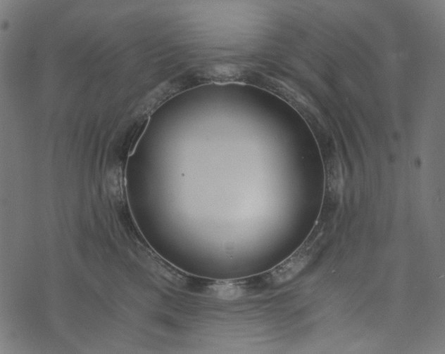 X0000073720425200608171208