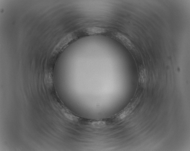 X0000073720426200608171208