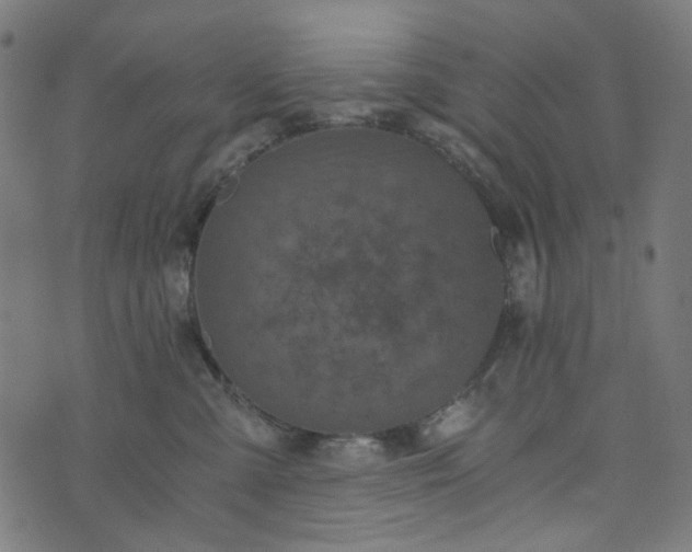 X0000073720427200608171208