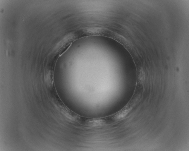 X0000073720428200608171208