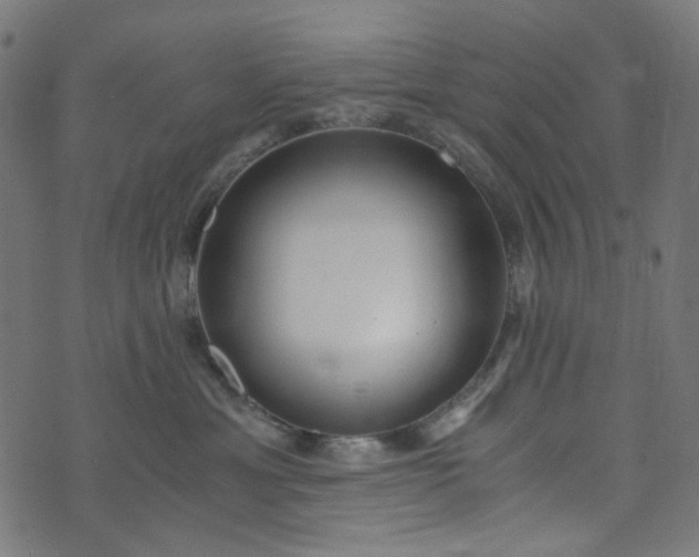 X0000073720429200608171208