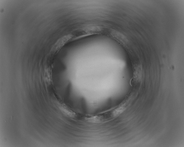 X0000073720430200608171208