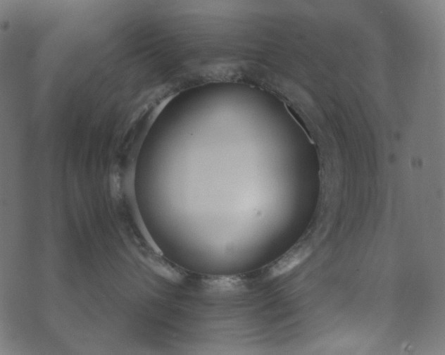 X0000073720432200608171208