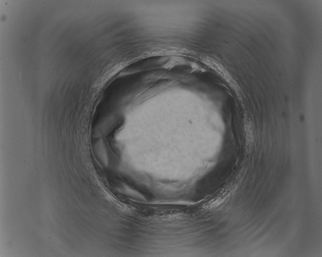 X0000073720433200608171207