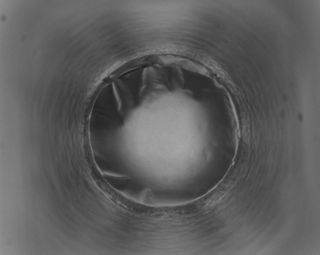 X0000073720434200608171207