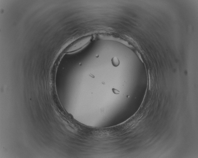 X0000073720435200608171207