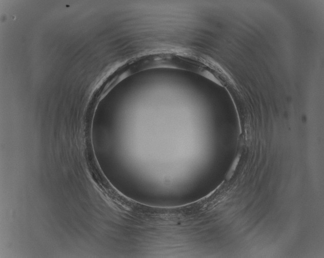 X0000073720436200608171207