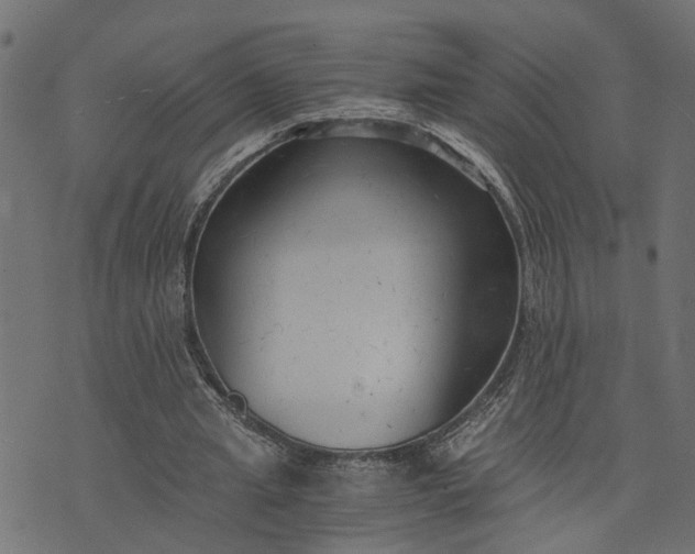 X0000073720437200608171207