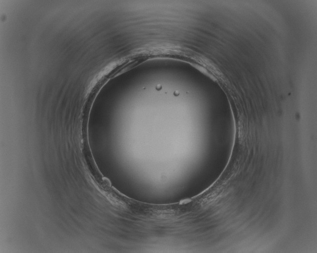 X0000073720438200608171207