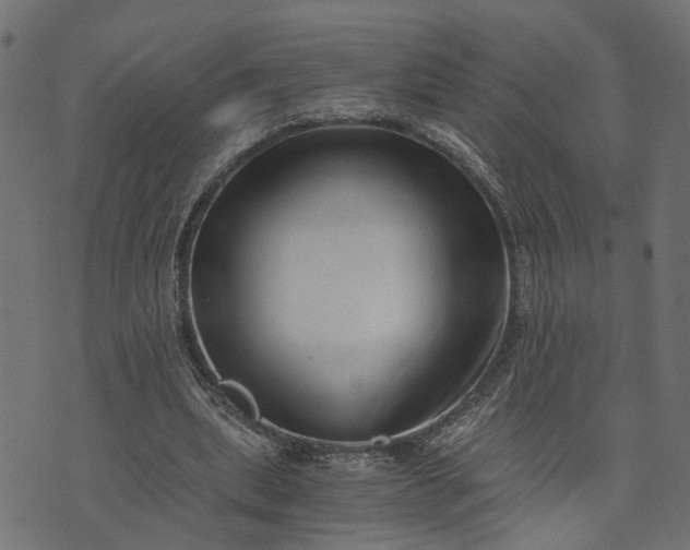 X0000073720439200608171207