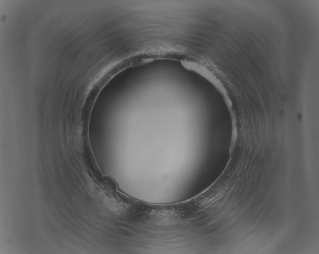 X0000073720440200608171207