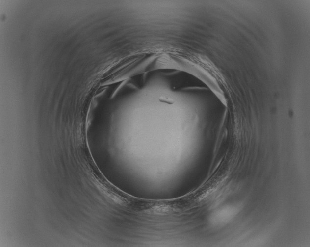 X0000073720441200608171207