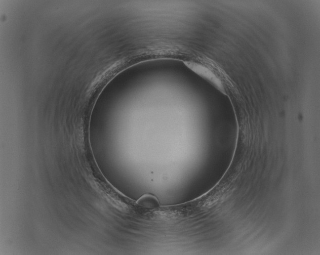 X0000073720442200608171207