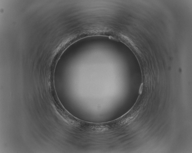 X0000073720443200608171207