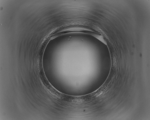 X0000073720444200608171207