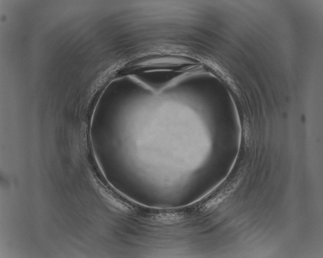 X0000073720445200608171207