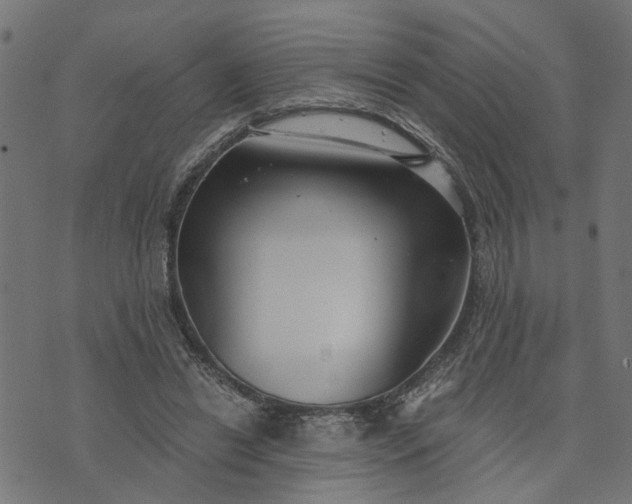 X0000073720446200608171207