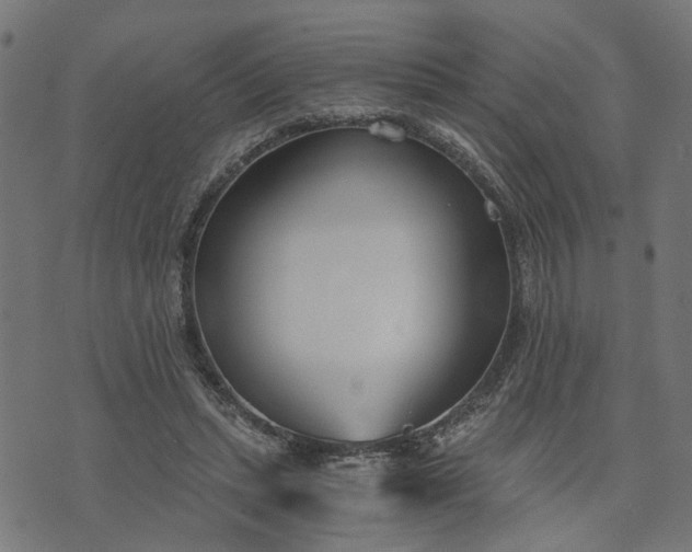 X0000073720447200608171207