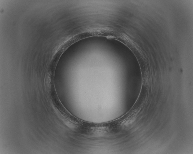 X0000073720448200608171207