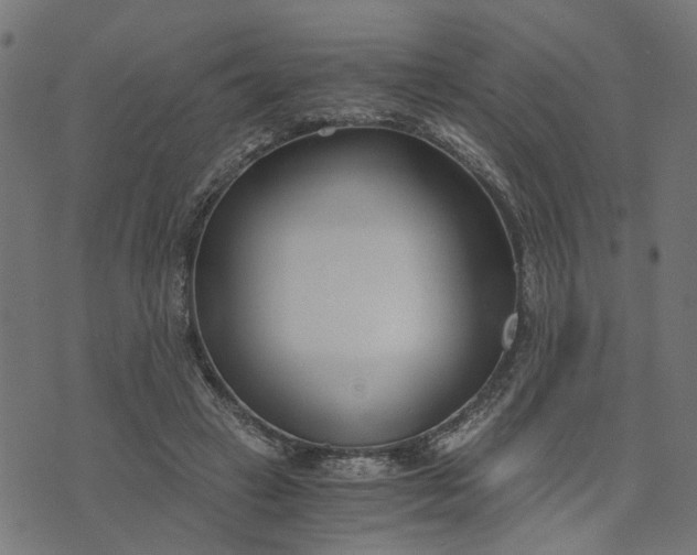 X0000073720449200608171207