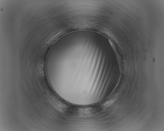 X0000073720450200608171207