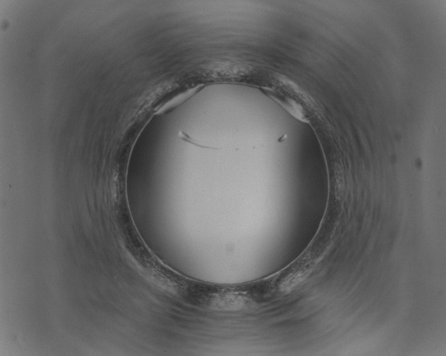 X0000073720451200608171207